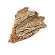 © ArtPixel-Portfolio - Piece of rough ash bark isolated on transparent background with clipping path