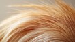 © Benzbutter - Close-Up View of Golden Blonde Hair Texture with Natural Highlights and Whimsical Styles under Soft Lighting