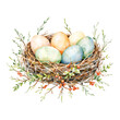 © Reytr - Eggs in the Nest with Leaves and Berries Isolated Hand Drawn Watercolor Painting Illustration