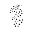 © Zargony click's  - Birds flying across the sky in formation, symbolizing freedom, peace, movement, unity, nature, and endless possibilities.