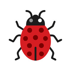 Wall Mural - Cute red and black ladybug isolated on black background