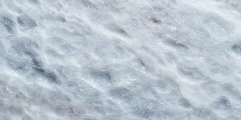Wall Mural - A solitary bird standing on fresh white snow in a bright, cold outdoor winter setting.