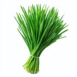 © MDSHAFIQ - Fresh chives bunch tied isolated on white background