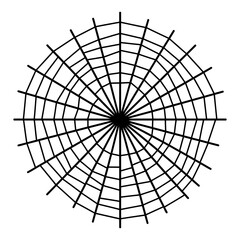 Wall Mural - Spider web icon. Black outline spider web icon isolated on white background.