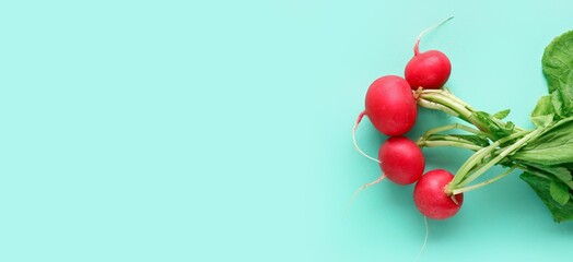 Wall Mural - Fresh radish on light blue background with space for text, top view