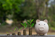 © Bordinthorn - A piggy bank stands beside growing plants on stacks of coins, symbolizing financial growth and sustainability.