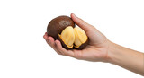 A ripe, opened salak fruit, its sections displayed in a hand,  showing the contrast between the brown rind and the pale yellow flesh.