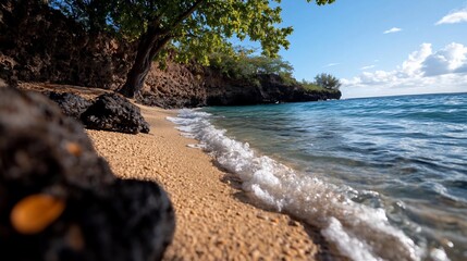 Poster - Coastal scene with sandy beach clear turquoise water and bright sunny sky with lush green foliage in the background. Waves gently lap the shore creating a sense of peace and tranquility