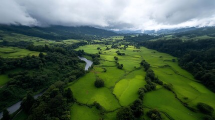 Poster - Aerial view of a lush green valley with a winding river beneath a moody overcast sky showcasing natural landscape and dramatic lighting