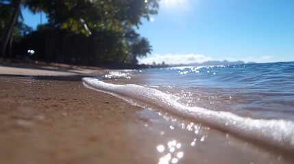 Aufkleber - Close-up view of a sandy beach with gentle waves and sun reflections. Shallow depth of field shows details of the wet sand and water. Palm trees and trees on the background in sunny day