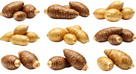 A variety of taro roots displayed on a clean white background, showcasing their unique shapes and textures for culinary use