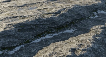 Aufkleber - Detailed close up of textured gray rock surface with moss growth
