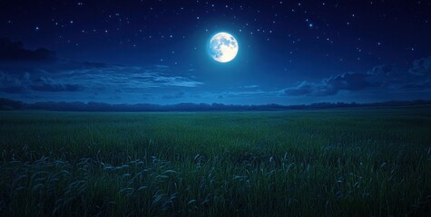 Wall Mural - full moon over grassy meadow at night