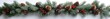 © Aleksandra - Festive Christmas Garland with Pine Branches Red Berries and Pinecones on White Background