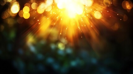 Wall Mural - Golden spotlight shining through dark foliage