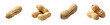 © Maestro - Four peanut pods with peanuts isolated on black background, cut out transparent