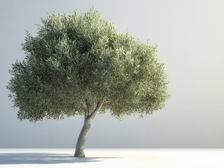a majestic olive tree in a minimalist setting a 3d rendered image of a single olive tree against a s