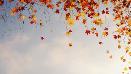 Wall Mural - colorful autumn leaves gently falling from branches in a serene sky