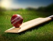 © Bigbag and Sandbag - close-up of a cricket ball placing on a cricket bat on a green field 2