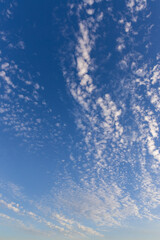 Wall Mural - scattered white clouds on the blue sky.