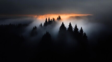 Poster - Silhouette of forest trees enveloped in dense fog with a moody atmosphere against a dramatic sunset showcasing the beauty of the natural landscape with the interplay of light and shadow