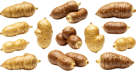 A collection of various tubers displayed on a white background, showcasing their unique shapes and textures for culinary use
