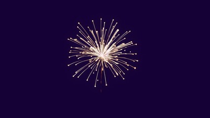 Canvas Print - festive fireworks animated overlay, transparent 4k video, alpha channel, prores 4444