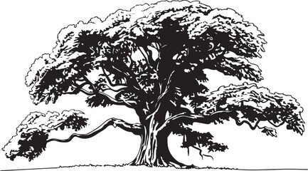 Realistic line drawing of a large oak tree with wide spreading branches intricate bark texture and lush foliage illustrated in black and white nature inspired sketch