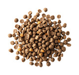 Feeding pets with high-quality kibble home food isolated on transparent background