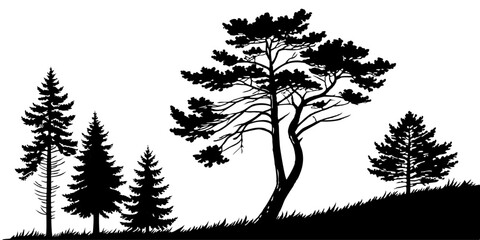  Fir trees silhouette line art illustration