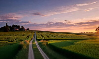 Wall Mural - serene rural landscape at sunset with dirt road and green fields