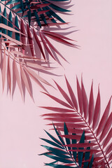 Fototapete - pink background with palm leaves