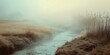 © saiful4613 - Mist stream rushes gently on a dreamy stroked background