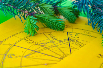 Wall Mural - Close uo of printed yellow astrology chart with small fir tree branches in the background