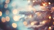 © huiying - Sunlit garden trees with soft bokeh, a serene escape into nature's warmth.
