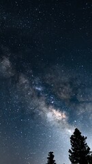 Wall Mural - Vertical Milky Way Galaxy Stargazing Southeast Sky Above Palomar Mountain San Diego California Time Lapse Astrophotography