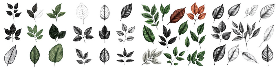 a collection of various leaves and foliage elements. long_title:a diverse collection of detailed and