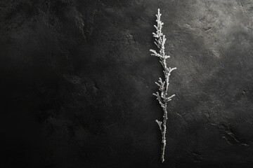 Poster - A frost-covered branch rests on a dark textured background, evoking winter's stillness.