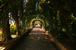 © Øyvind - A trellis in the gardens of Generalife, Granada, Spain.