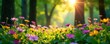 © Gball - Sun-dappled wildflowers bloom in a tranquil forest glade , green, nature