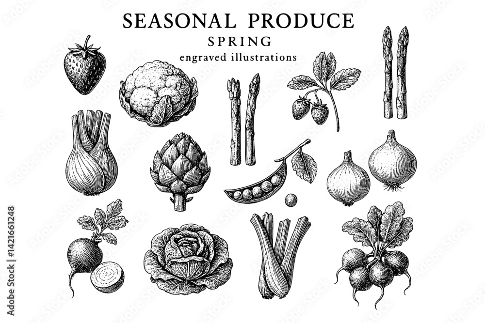 Colorful seasonal produce illustrations capturing the essence of spring ...
