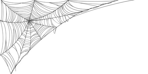 Wall Mural - spider web line art vector frame