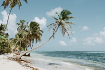 a serene scene of a tropical beach with swaying palm trees, clear blue water, and white sand, a trop