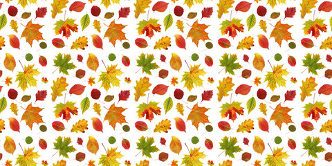 Wall Mural - colorful autumn leaves seamless pattern on white background