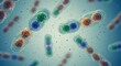 © Kawarina - Detailed Microscopic Illustration of Pathogenic Entamoeba Histolytica Cysts and Trophozoites Floating in Fluid Rendered in Photorealistic Detail with Vibrant Blues Greens and Oranges