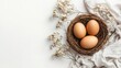 © In - Natural Eggs in Nest on Soft Background