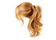 © Bismillah - Blond ponytail hair style on transparent background. Concept of beauty, fashion, and hair styling.