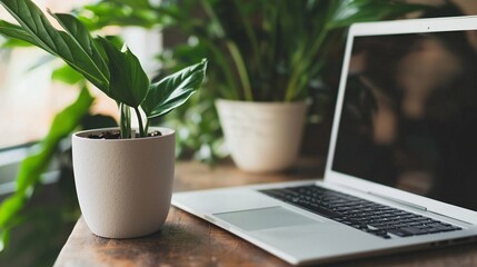 Aufkleber - Conscious living promotes wellness and sustainability in a professional minimalist workspace featuring eco-friendly materials, natural light, and plants that reflect a mindful lifestyle.