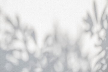 Aufkleber - Leaf shadow and tree branch background, shadows overlay effect foliage mockup. Natural  tropical leaves tree branch dark shadow and light from sunlight dappled on white wall texture, shade wallpaper