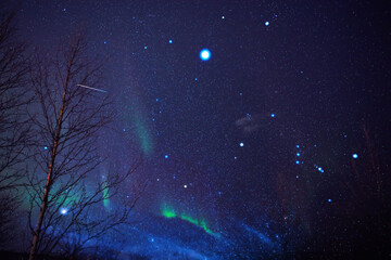 Wall Mural - aurora borealis, polar lights with milky way stars.